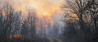 Dödlig skogsbrand i östra Ukraina