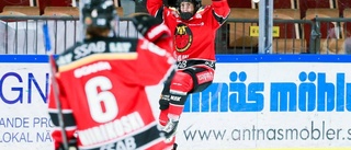 Luleå Hockey nollade Brynäs