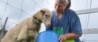 4H-klubben vägrar flytta från gården