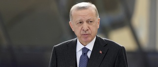 Erdogan tystar kritiker med förolämpningslag