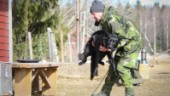 Tuffa tester för patrullhundar