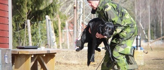 Tuffa tester för patrullhundar