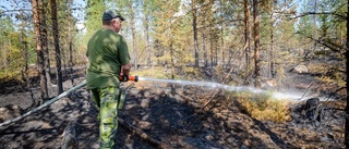 Så mycket får din kommun för skogsbränderna