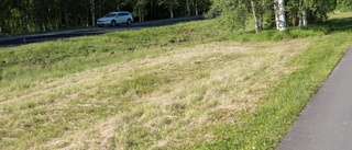 Kommunen backar inte om gräsklippning