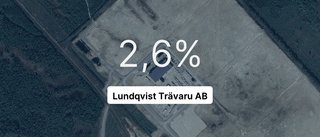 Intäktsfall för Lundqvist Trävaru AB – ner 28,7 procent