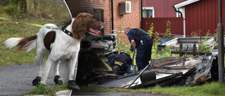 Hunden Sky sökte spår – efter misstänkta mordbränderna