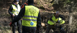 Police suspend moose hunting as search intensifies