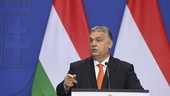 Kan någon påminna Orban att Ungern kan lämna EU?