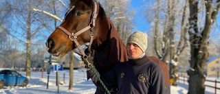 Larmet från hästsverige: Ryttare sliter ut sina hästar i förtid 