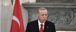 Erdogan i samtal med Biden om svensk Natoansökan