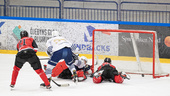 Fem raka segrar – sedan tog det stopp för Piteå Hockey: "Surt"
