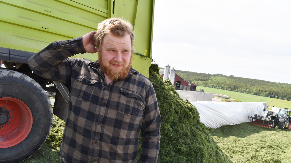 Martin Forslund, a farmer outside Kåge, has struggled with the wet summer and autumn. His harvest was both smaller and of lower quality.