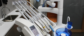 Tandklinik och hushållstjänster bland veckans nystartade företag