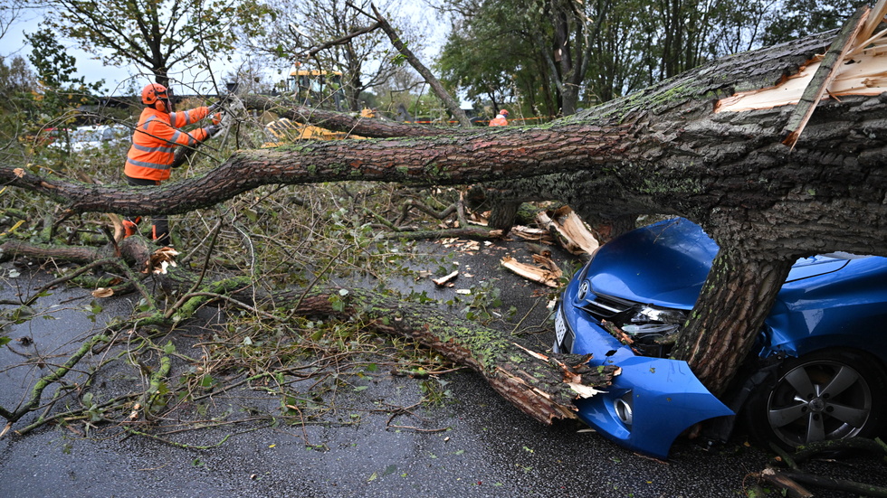 Uppröjning av ett stort träd som träffade en bil i Bjärred utanför Lund. Ingen person i bilen skadades.