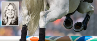 Hopptävlingen Julhoppet i Luleå är inställd – febrig häst orsaken