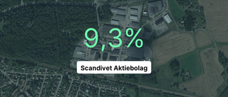 Efter tre år i rad med intäktsökning - i fjol kom smällen för Scandivet Aktiebolag