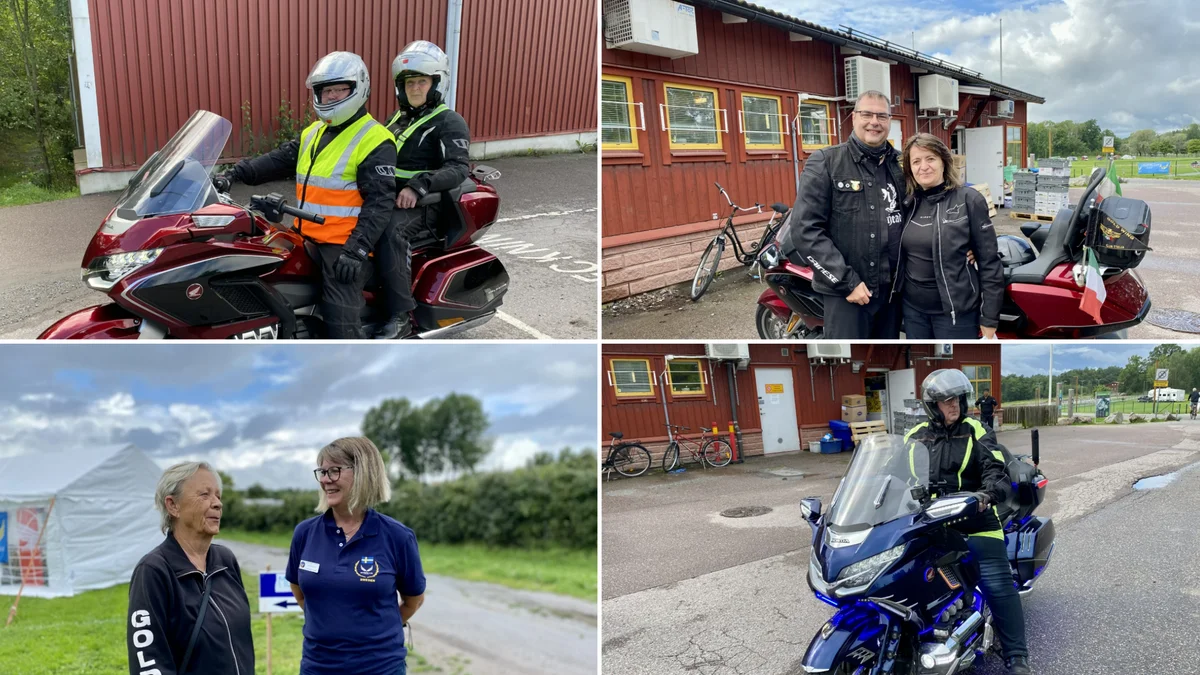 Hojträff med internationell glans på Vilsta camping