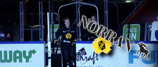 Tisdag 18.30: Dags för AIK:s första isträning – Norran TV-sänder