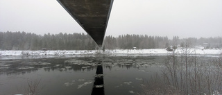 Läsarbilden: Under hängbron    