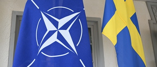Fler behöver få höras i Nato-frågan