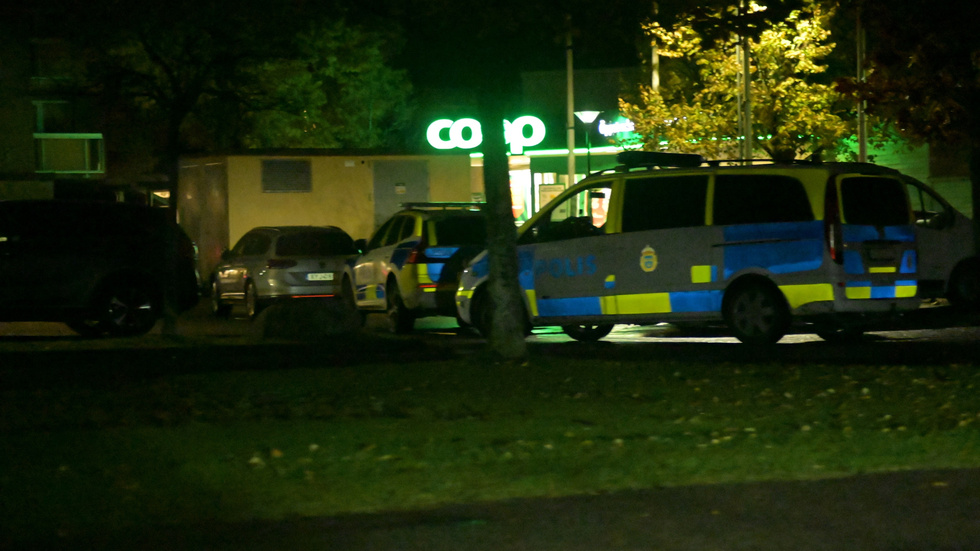 Flera patruller befann sig på torsdagskvällen i Lambohov och sökte efter gärningsmännen.