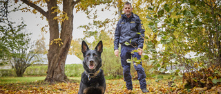Krogstorps Sky årets polishund