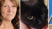 Missteriet: Katt rymde i Oxelösund – liftade till Stockholm