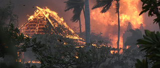 Biden: Katastrofläge i Hawaii efter bränder