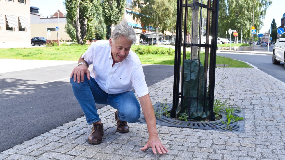 Laying cobblestones instead of asphalt, planting new trees, and creating urban green spaces will help reduce the risk of flooding, says Lars Hedqvist.