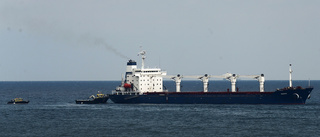 Fartyg med ukrainskt spannmål har nått Turkiet