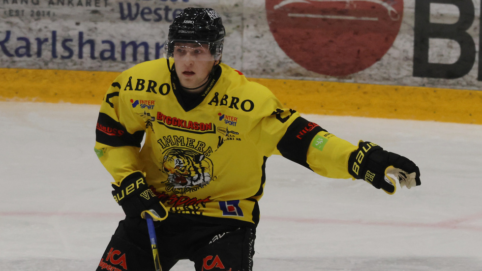 Elias Lindgren, Vimmerby Hockey