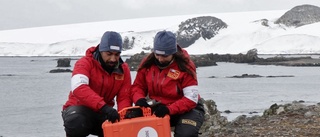 "Hyperresistenta" bakterier på Antarktis oroar