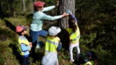 I skogarna kring Gunnebo bor Trädfolket • Förskolebarn pryder skogen med skulpturer • Får hjälp av lokal konstnär