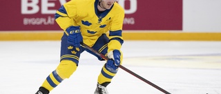 Svenske hockeybasen: Låt spelare lämna Ryssland