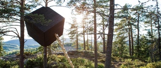 Arkitektstudenter ska bygga vindskydd vid Tåkern och Omberg
