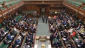 Parlamentariker avgår efter porrtitt