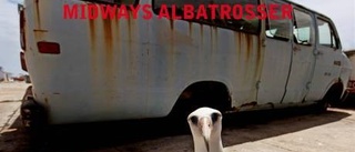 Klarhet bland albatrosser på Midway