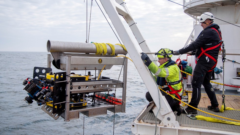 Här sänks den specialbyggda undervattensdrönaren, en ROV, ner i vattnet i en stålbur på torsdagsmorgonen. Den sänks ner i buren till 45 meters djup, därefter rör den sig på egen hand.