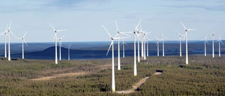 SCA köper vindkraftpark i Markbygden: "Stor potential till ökad elproduktion"
