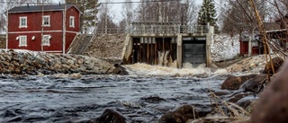 Lillpiteälvsgruppen gläds åt bolagets stöd