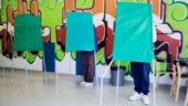De fick flest röster – när Gotlands ungdomar fick välja • Där fick SD och V 50 procent tillsammans 
