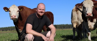 Årets nötköttsföretag i Norrbotten är utsett