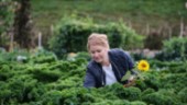 Här dyker Emma in i "naturens grönsaksdisk" på bondgården utanför Luleå • Drömmer om en egen trädgård: "Trevligare att gå här än i en affär"