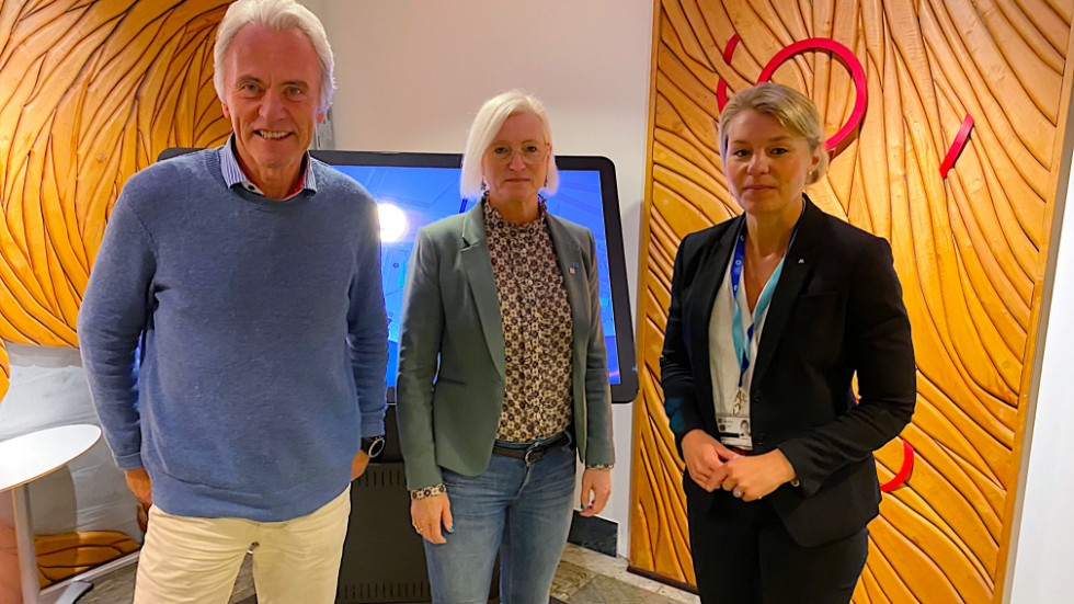 Reidar Svedahl (L), Eva-Britt Sjöberg (KD) och Sophia Jarl (M) har tillsammans med Christopher Jarnvall (SD) beslutat att säga nej till Holmens vindkraftsbygge. 