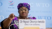 WTO räknar med tvärnit för världshandeln
