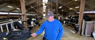 Bra år för Julita gård: "Går att sammanfatta som lite positivt" ✓Bättre betalt för mjölken ✓Publikt kosläpp ✓God skörd