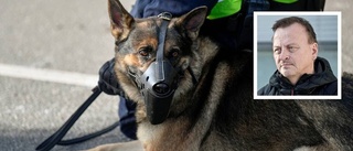 Jackpot när polishund stoppade känd tjuv