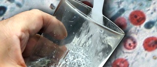 Tarmbakterie i dricksvatten – husägare uppmanas koka vattnet