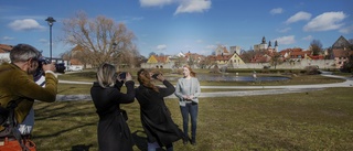 Annie Lööf anlände till ett strömlöst Gotland • ”Tredje elkabeln behöver snabbas på”