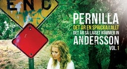 Pernilla Andersson: Det är en spricka i allt...